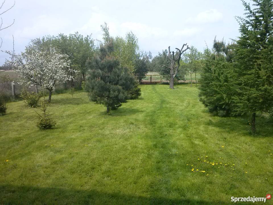 Duży dom na sprzedaż 5000m2 Kotowice