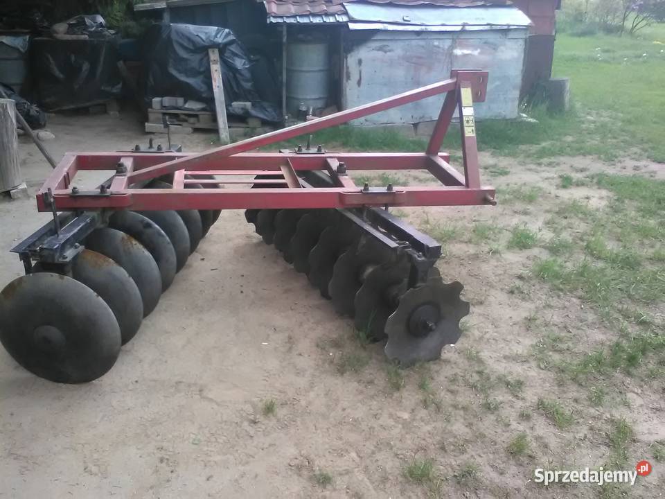 Talerzówka mazowieckie Skorosze