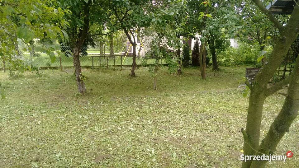 Ogródek działkowy Tarnów Krzyż sprzedam