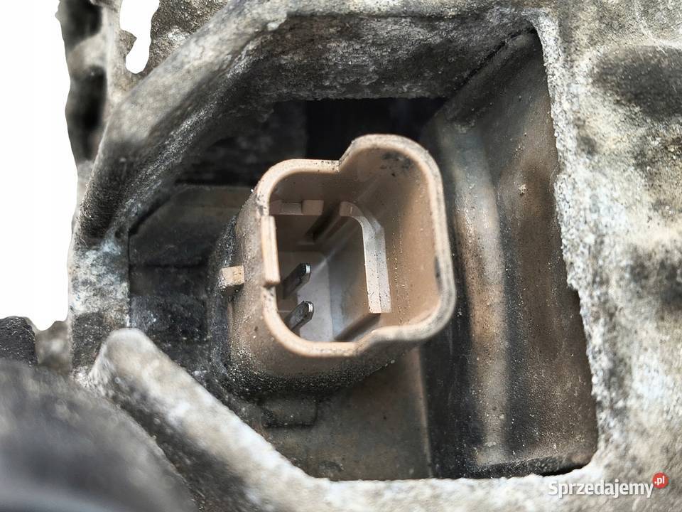 ALTERNATOR Peugeot 206 306 Partner Citroen 14 8V osobowe Chełm