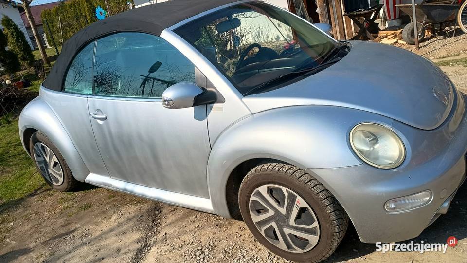 VW Beetle Tarnów