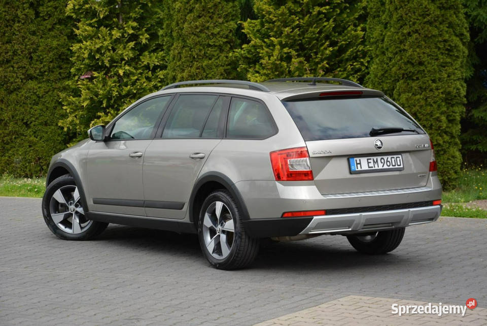 koda Octavia 20TDI184MScout Duża Navi Kamera światła przeciwmgielne