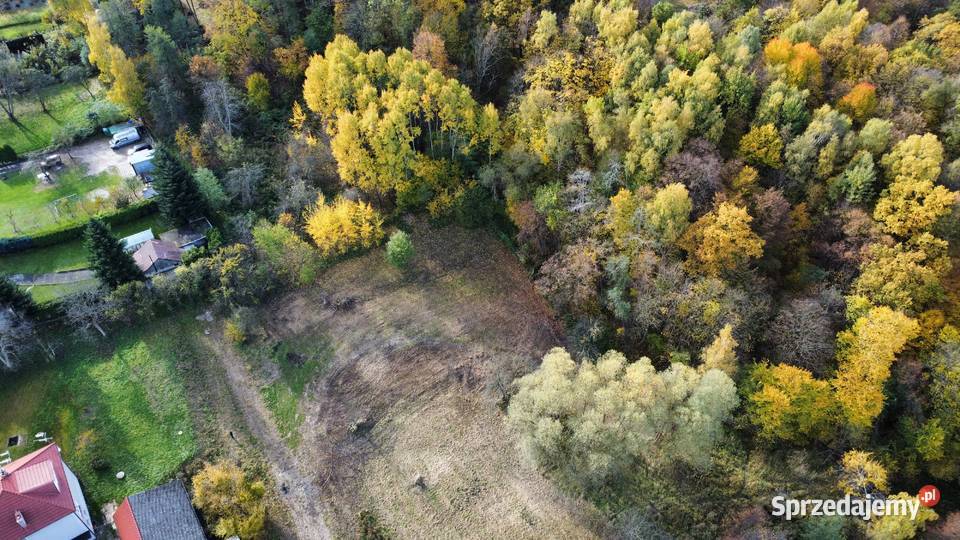 16 ar Wrząsowice Działka budowlana lesie Sprzedaż