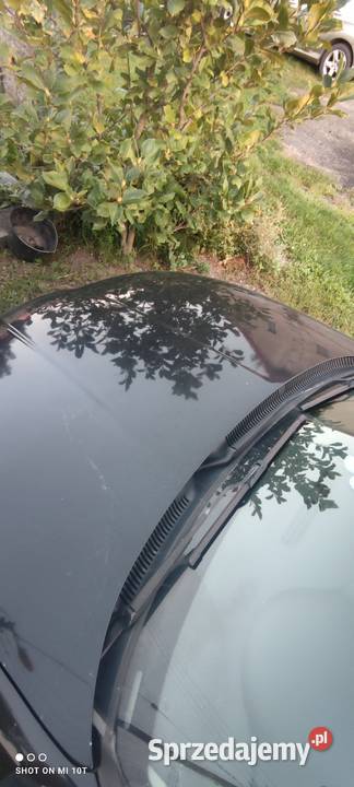 Seat Leon 19 arl Strzelin