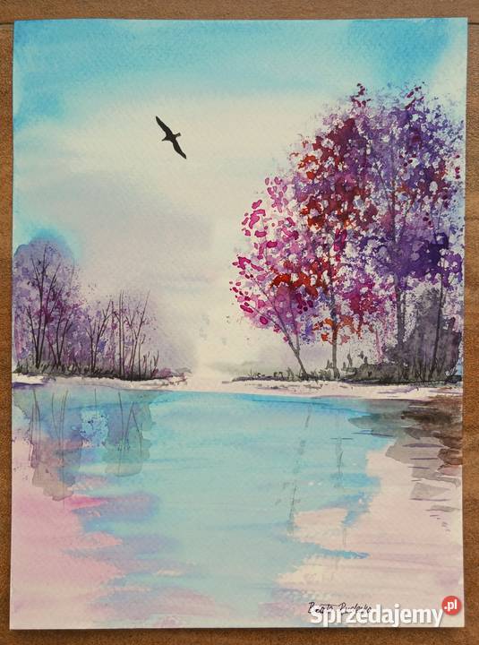 Akwarela Akwarelka Obraz pt W locie 18 x 24 Łódź sprzedam