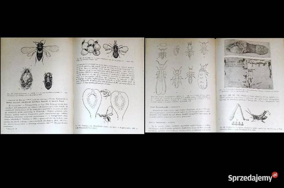 Zoologia stosowana Zbigniew Kawecki Chełm