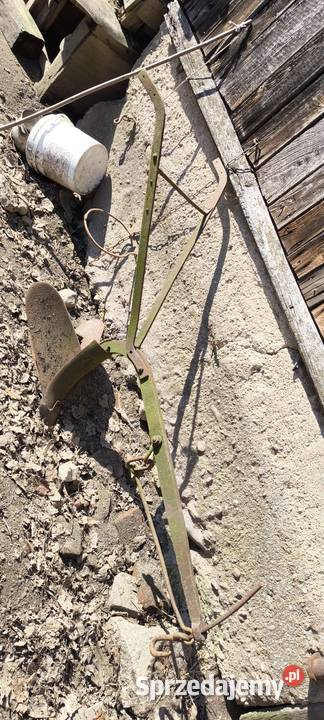 Stare konne redło Główczyce