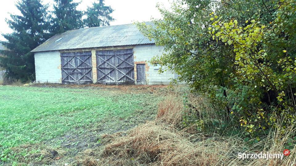 Budynek z możliwością przebudowy na dom Sprzedaż Płońsk