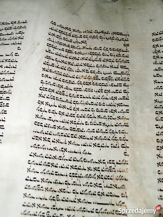 Dziewiętnastowieczna tora na pergaminie małopolskie Tarnów