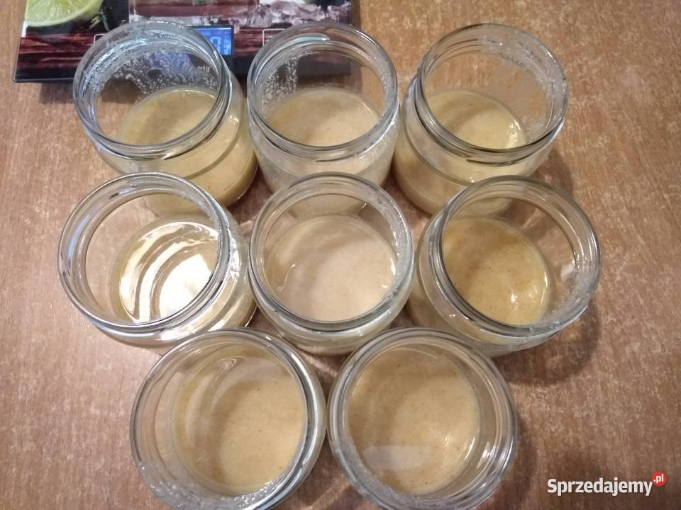 Mleczko pszczele trutowe Gomogenat Trutowy Warszawa