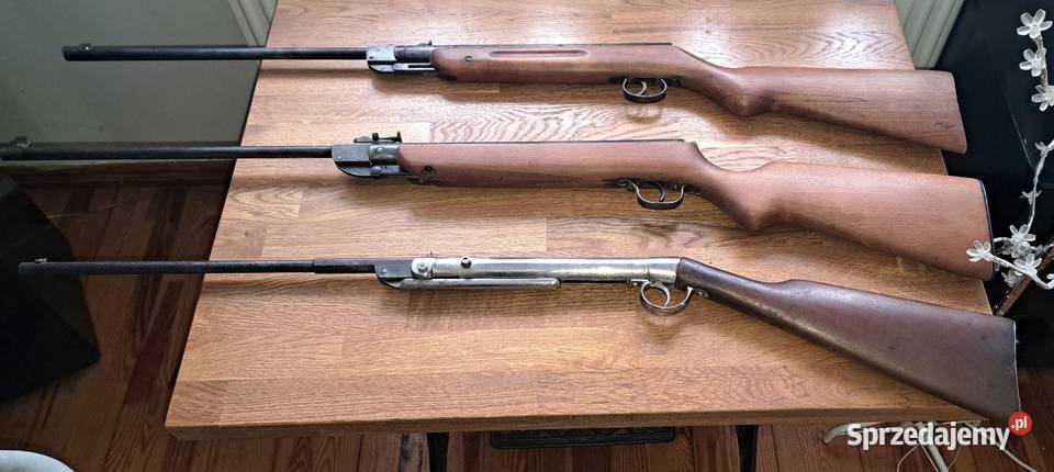 Wiatrówka Haenel 303 kujawsko-pomorskie Toruń