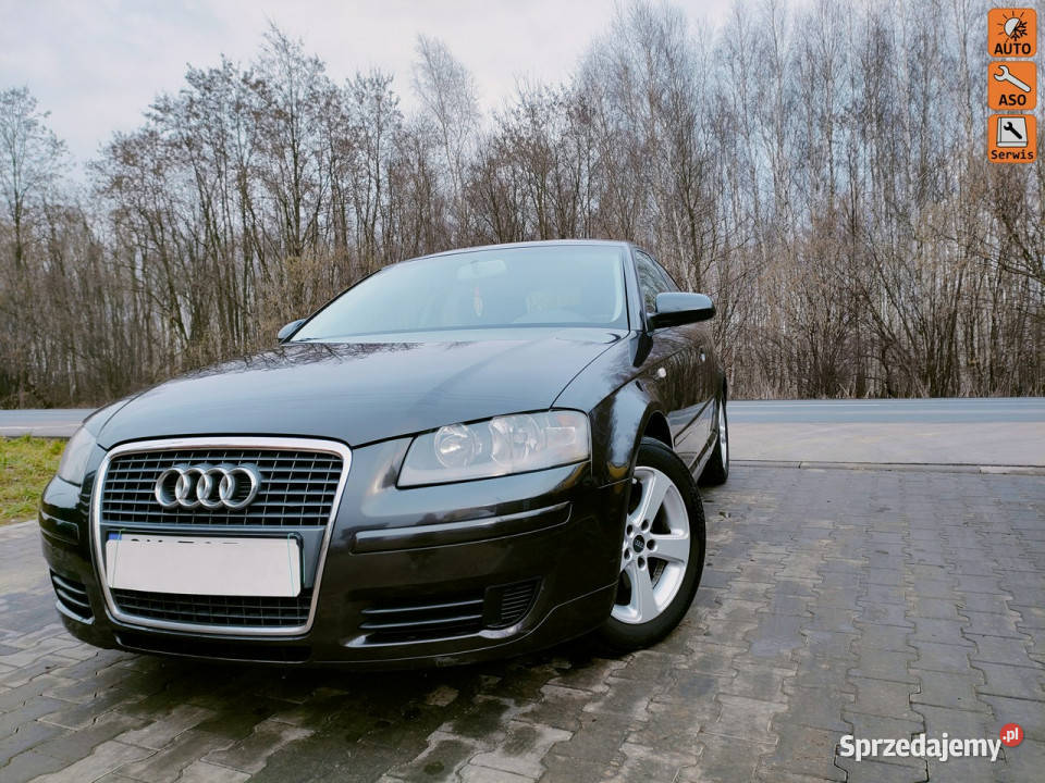 Audi A3 A3 1.9d/105kM czyste zadbane książka serwisowa hak 8P (2003-2012)