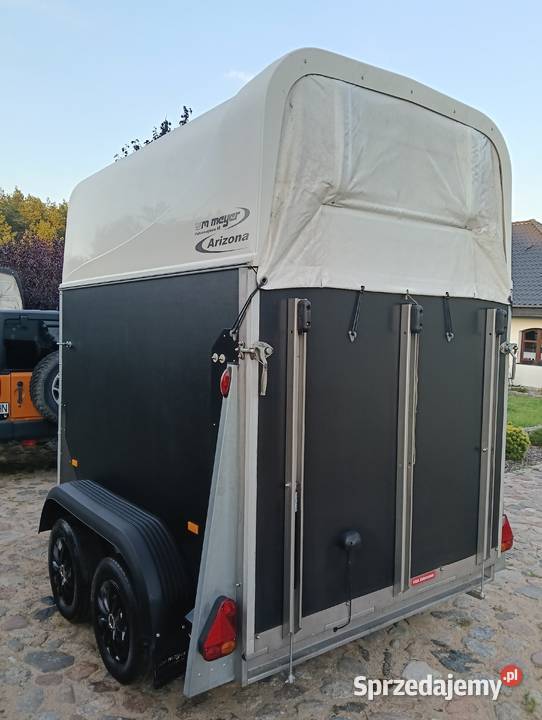 Przyczepa konna dwukonna do Koni Meyer 2017 Krzymów