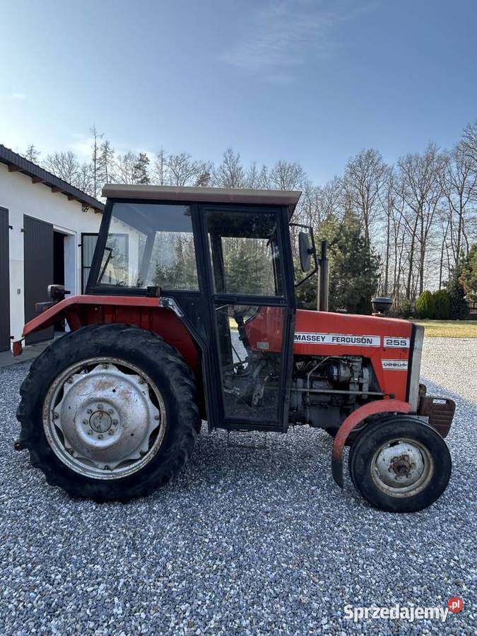Ursus Massey Ferguson MF 255 Krowica Zawodnia