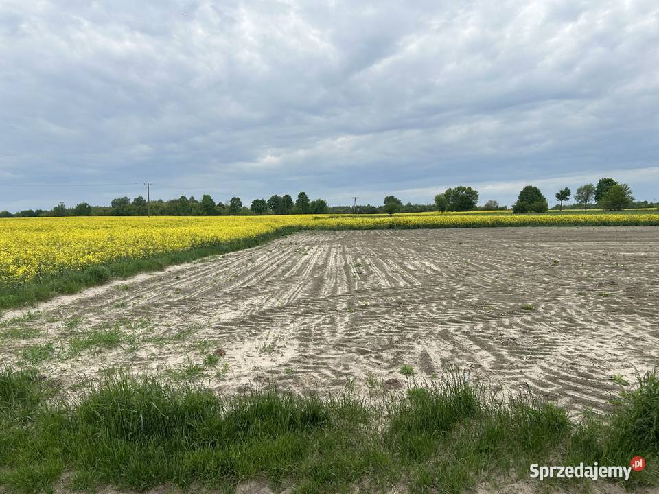 Sprzedam działkę rolną 1100m2 o regularnym 1100m2 Nieruchomości