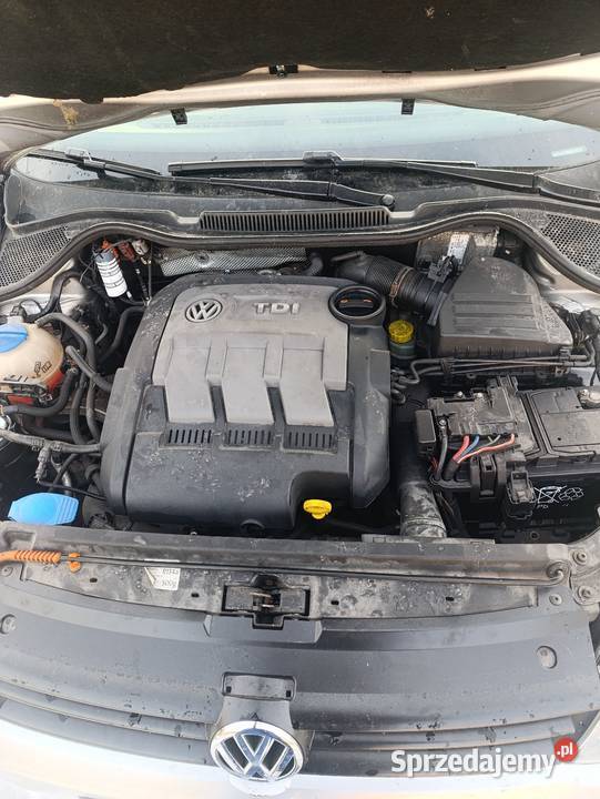 Polo 5 2011r ESP Bydgoszcz