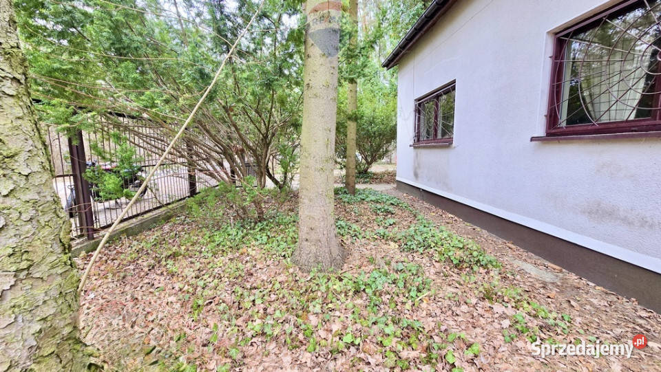 Działka zabudowana Zalesie Górne Kwiat Paproci siatka sprzedam