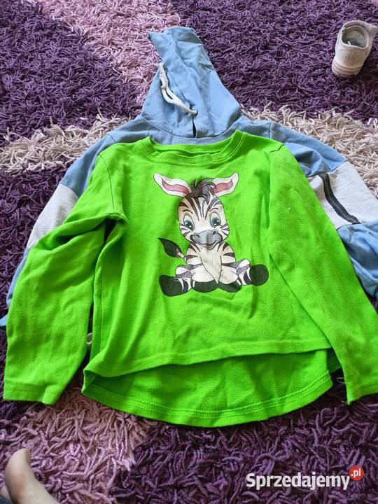 Bluza bluzka chłopca rozmiar 116 2 sztuki 10 Rozmiar 116 kujawsko-pomorskie Włocławek sprzedam