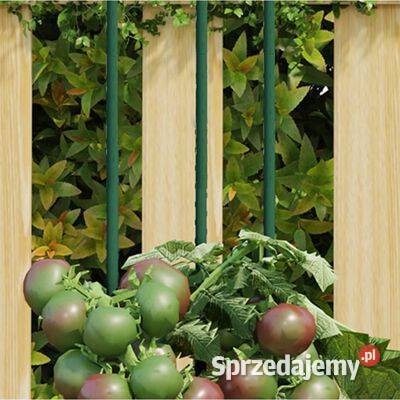 vidaXL Podpórki do roślin 30 zielone 90 mazowieckie Warszawa