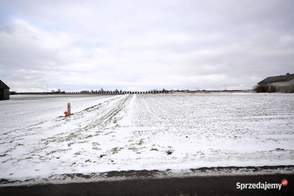 Grunt Janówek 2000m2 Sprzedaż