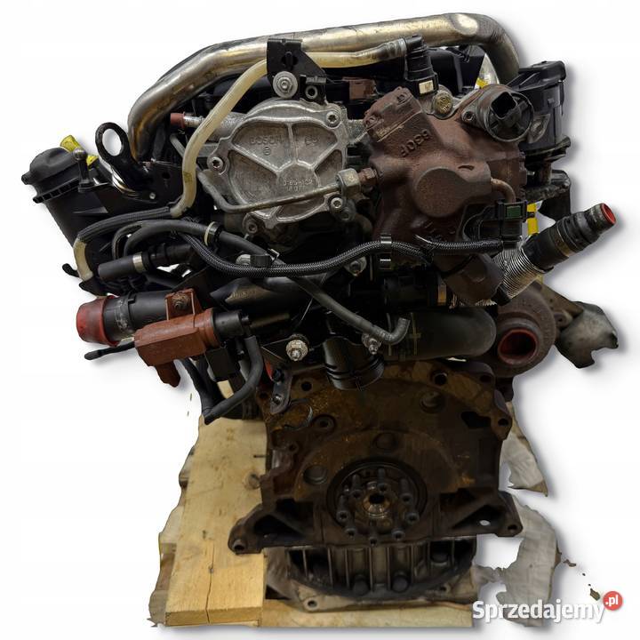 SILNIK G6DD Ford Focus II MK2 C C 20 TDCI 136 Chełm