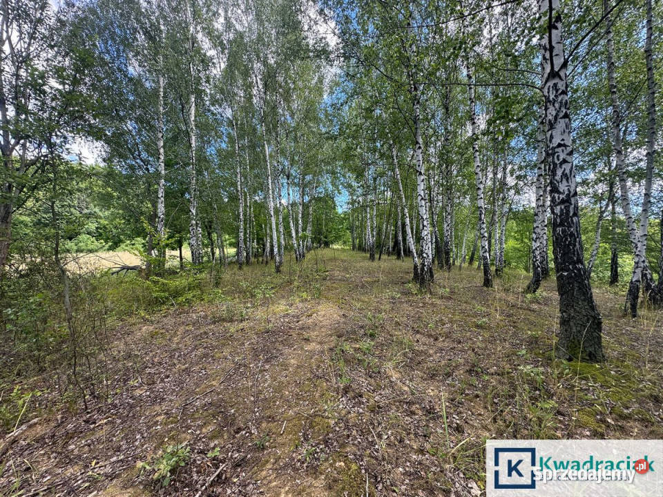 Działka Odrzykoń 1677m2 podkarpackie sprzedam