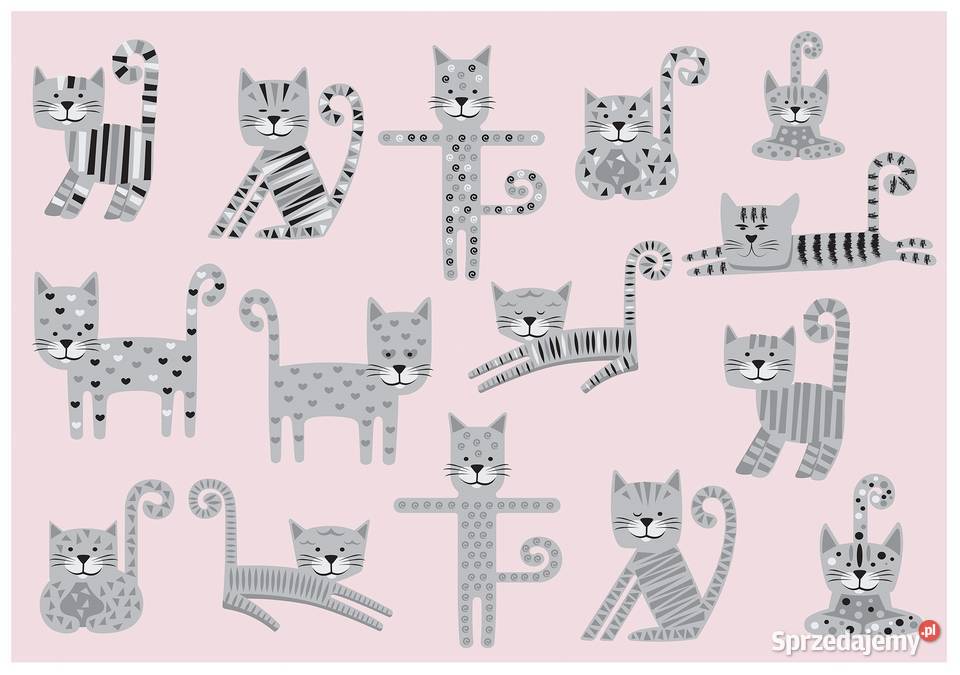 Tapeta fototapeta Kotki dzieci Leszno