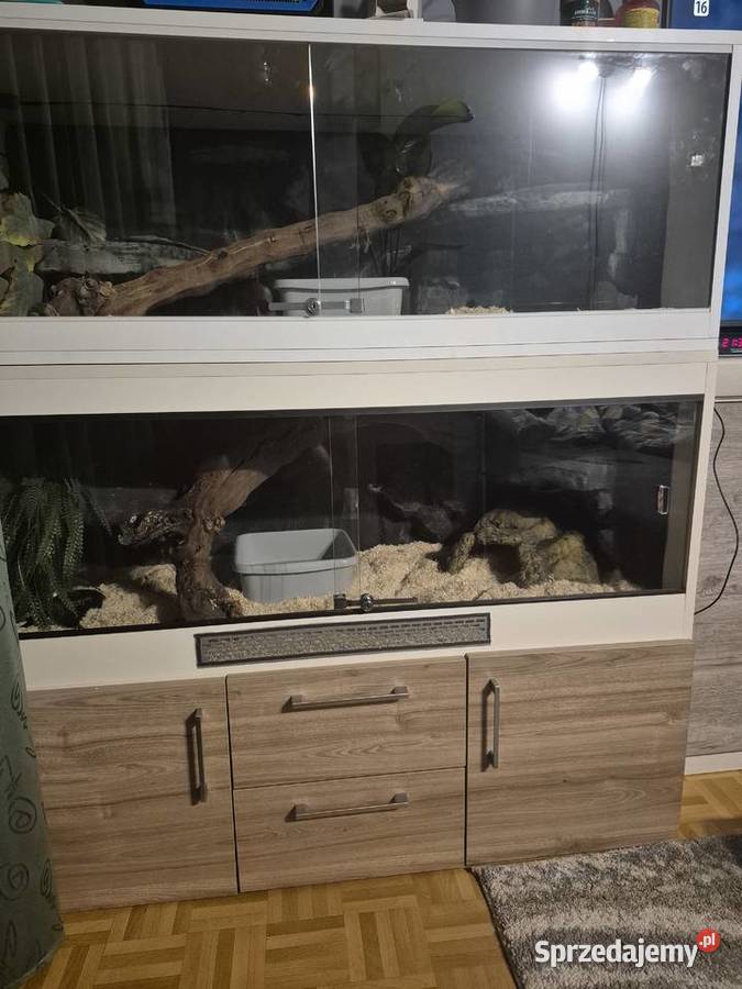 Terrarium świętokrzyskie Starachowice