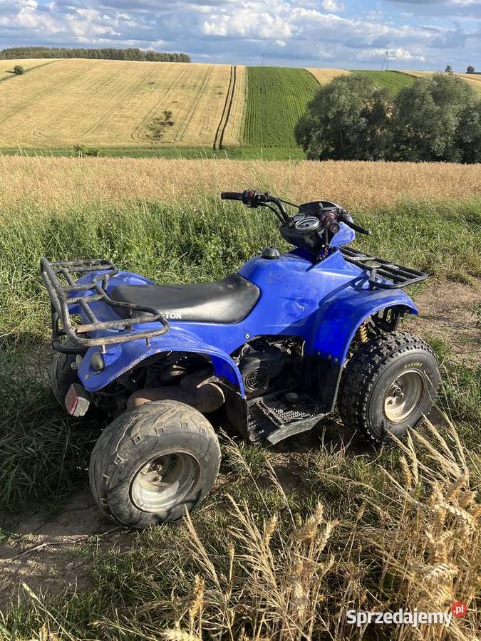 Quad eton 100 2t Pozostałe Pałecznica