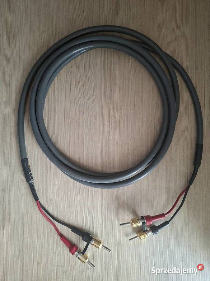 Cardas Twinlink Speaker 2x25m banany Stasin