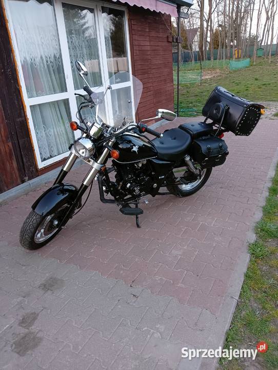 Sprzedam chopera 125250 Pułtusk