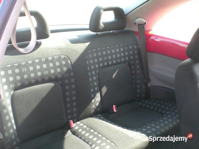 Volkswagen Beetle New Beetle Kalisz