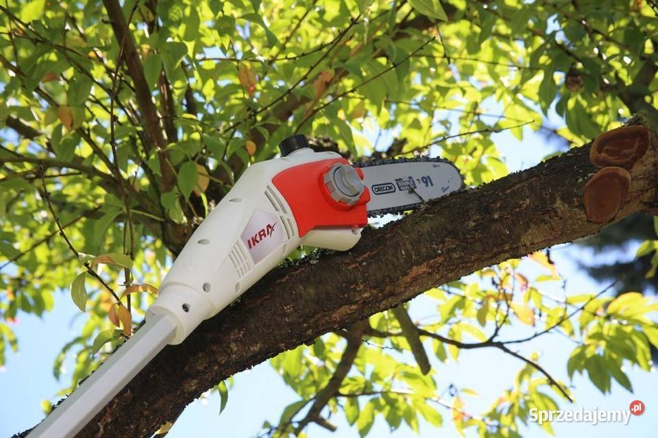 IKRA IEAS 750 PIŁA PILARKA PRZECINARKA wielkopolskie Opalenica