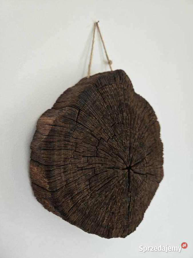 Ozdoba drewniana dębowa z korzenia lubuskie Trzciel