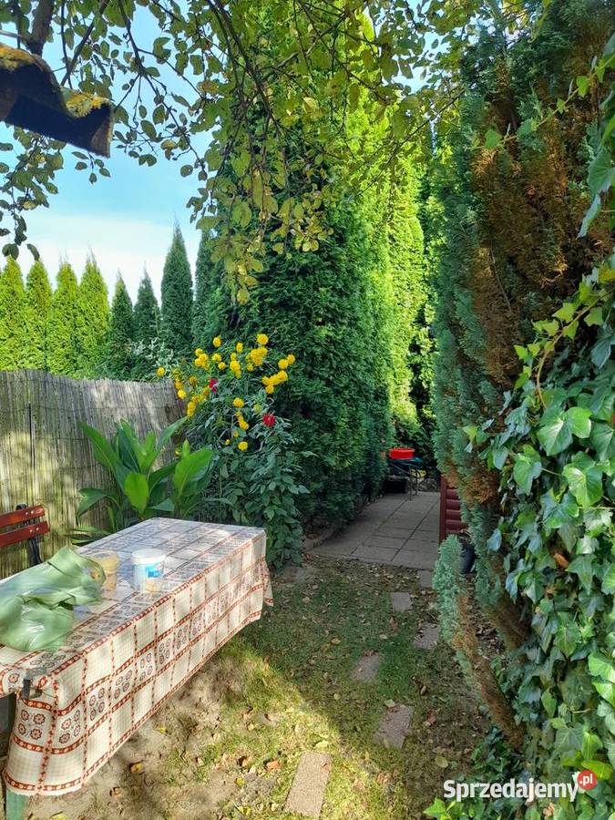 Działka ROD 300 m2 Ostrowiec Świętokrzyski