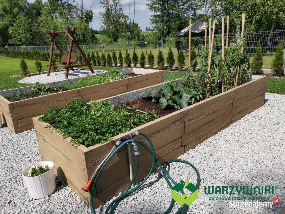 Ekologiczny warzywniak betonowy Zielnik Inspekt Rośliny Rośliny