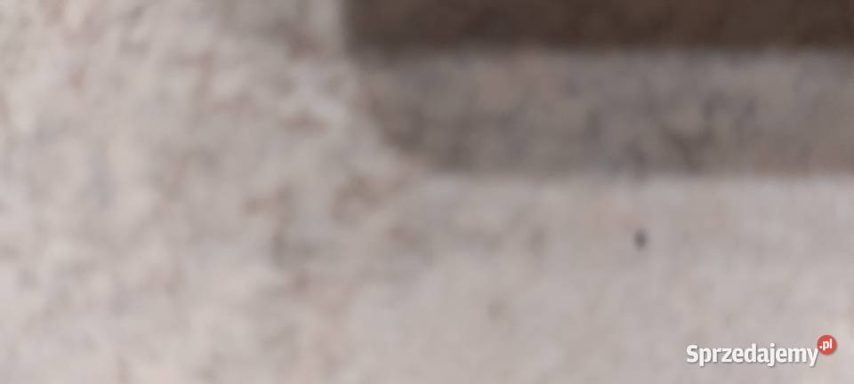 Honda CBR 900 czujnik inne Warszawa sprzedam