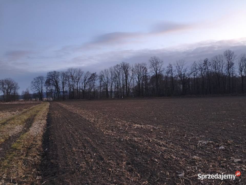 Sprzedam działkę Prudnik