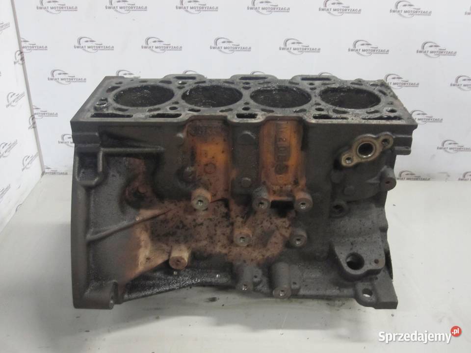 MEGANE 15 DCI 13R K9K636 110 131 BLOK SILNIKA Motoryzacja