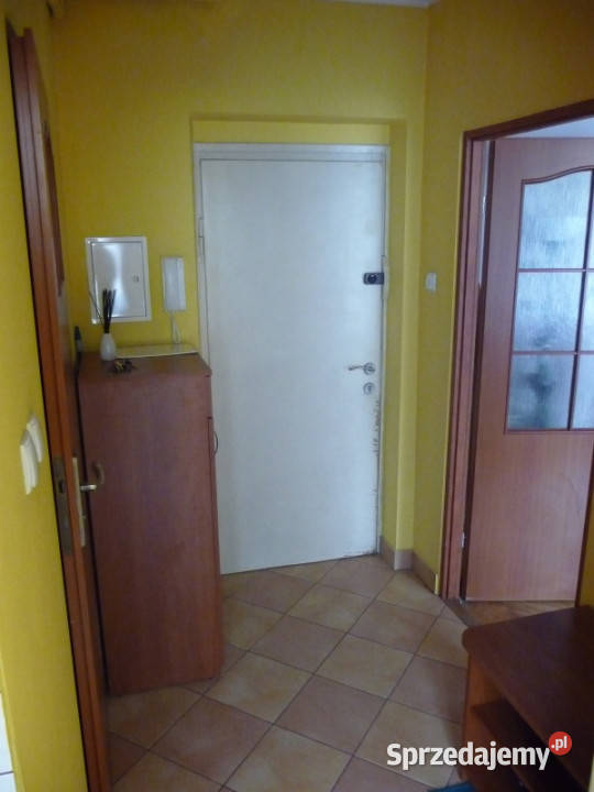 kawalerka do wynajęcia Mysłowice Centrum