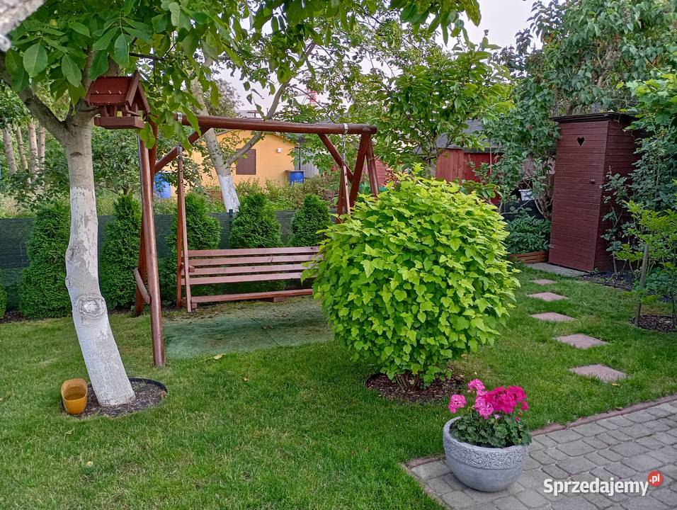 Działka ROD Stogi Gdańsk pomorskie sprzedam