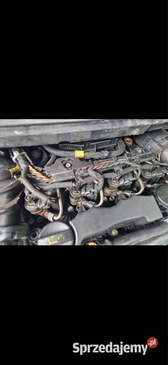 Silnik 16hdi 109 citroen c4 c3 c2 Berlingo Silniki kompletne Międzyrzec Podlaski sprzedam