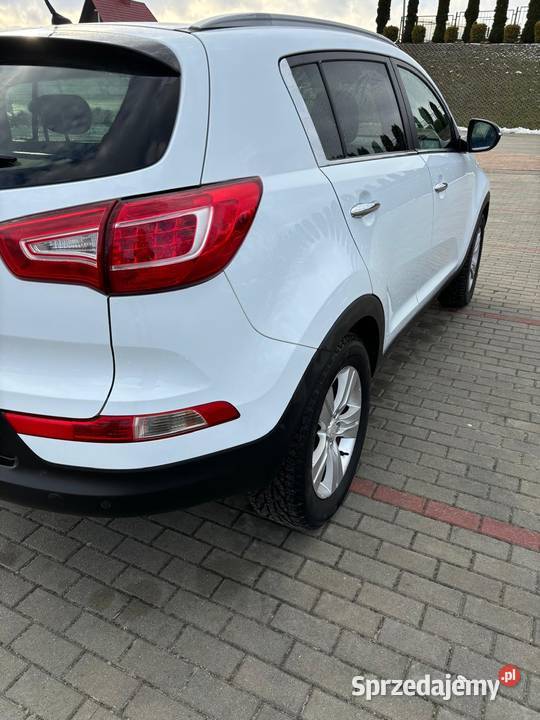 Kia Sportage asystent parkowania