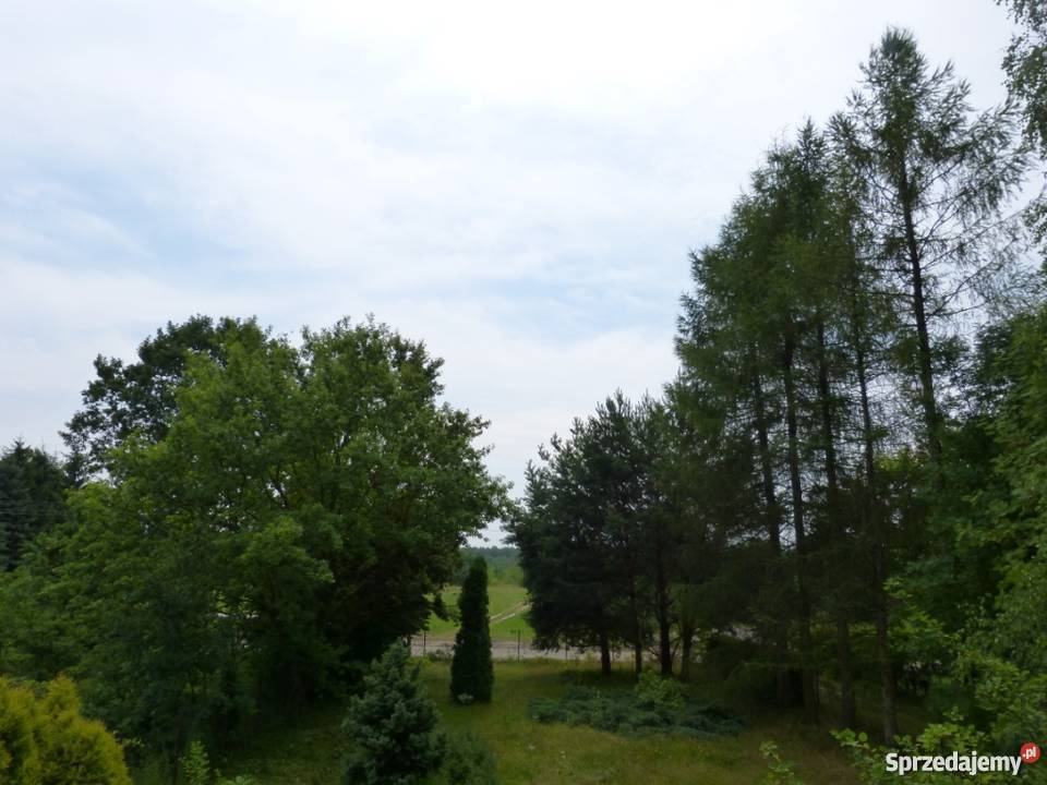 DZIAŁKA BUDOWLANA 1000 m2 Z DOMKIEM BRDA RYNIA