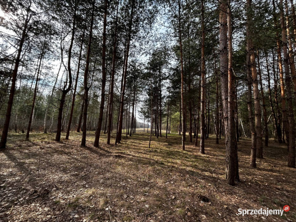 UROKLIWE MIEJSCE NATURY 237zł/m2 podkarpackie Rydzów