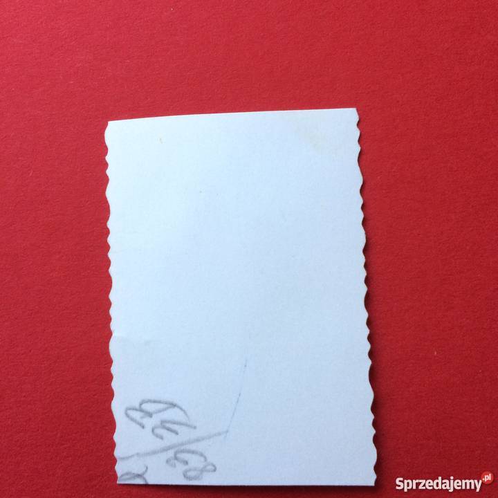 1169 Zakłady Fotograficzne Szczecina Szczecin