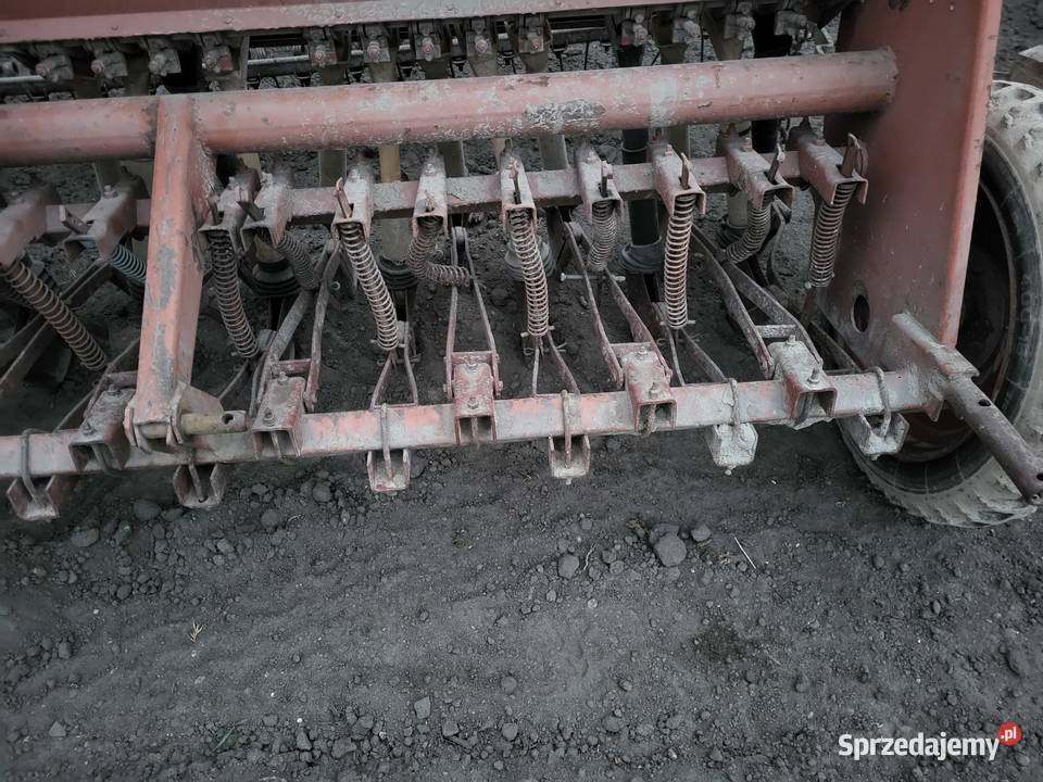 Siewnik poznaniak na docisku