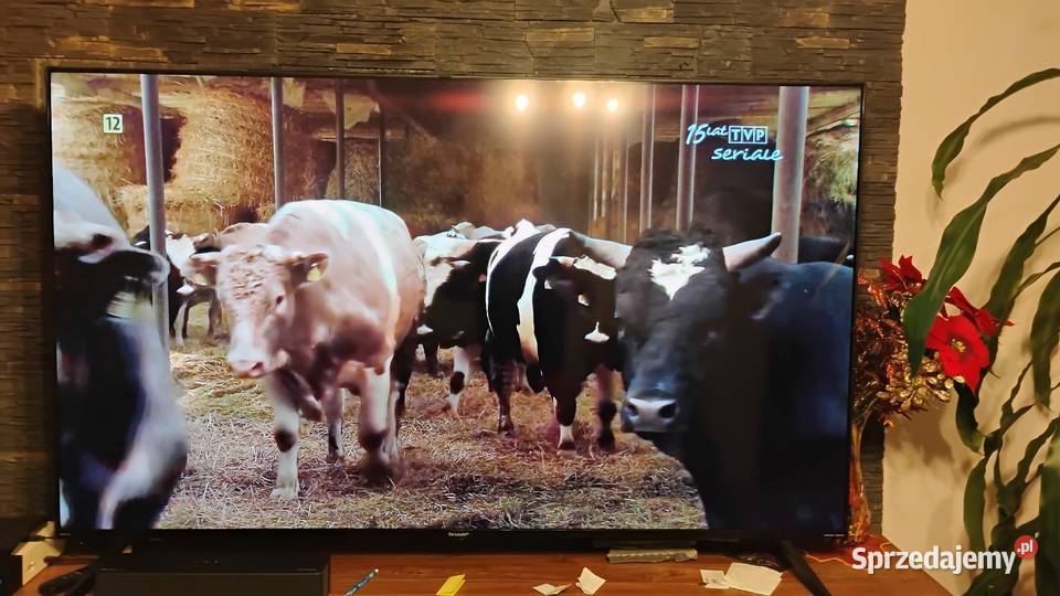 posiadam na sprzedaż telewizor Sharp Białystok