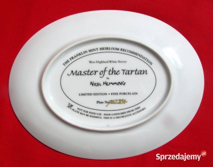 BIAŁY TERIER patera obrazek Master Tartan NIGEL Koszalin sprzedam