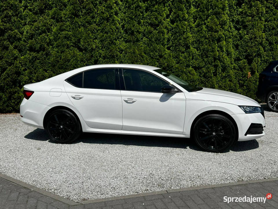 koda Octavia 20 TDI automat Sedan IV 2020 bluetooth wielkopolskie Baranowo